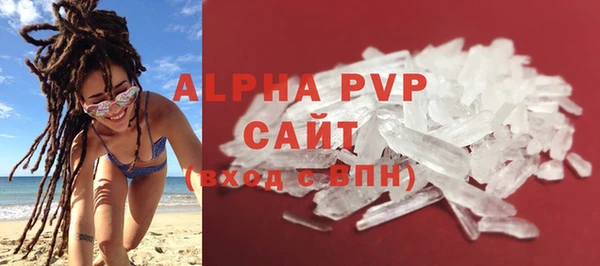 стаф Кодинск