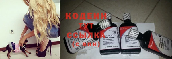 стаф Кодинск