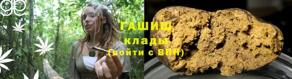 стаф Кодинск