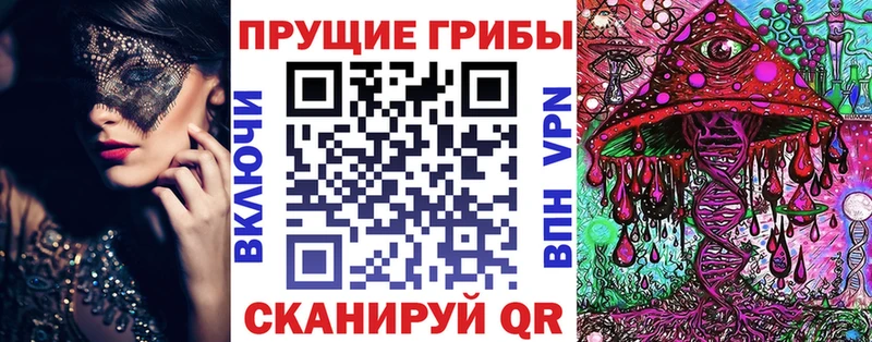 купить закладку  mega ТОР  Галлюциногенные грибы Psilocybine cubensis  Пласт 